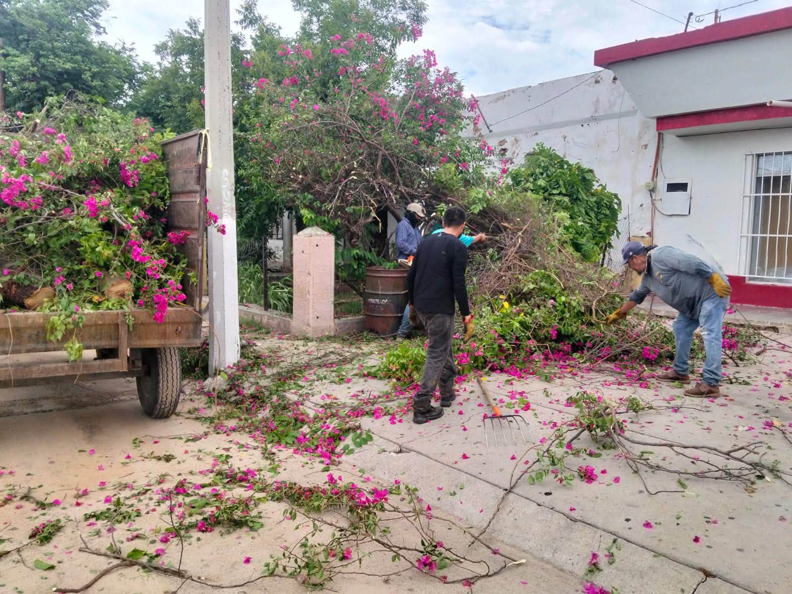 ATENCIÓN ANTE AFECTACIONES POR LAS LLUVIAS
