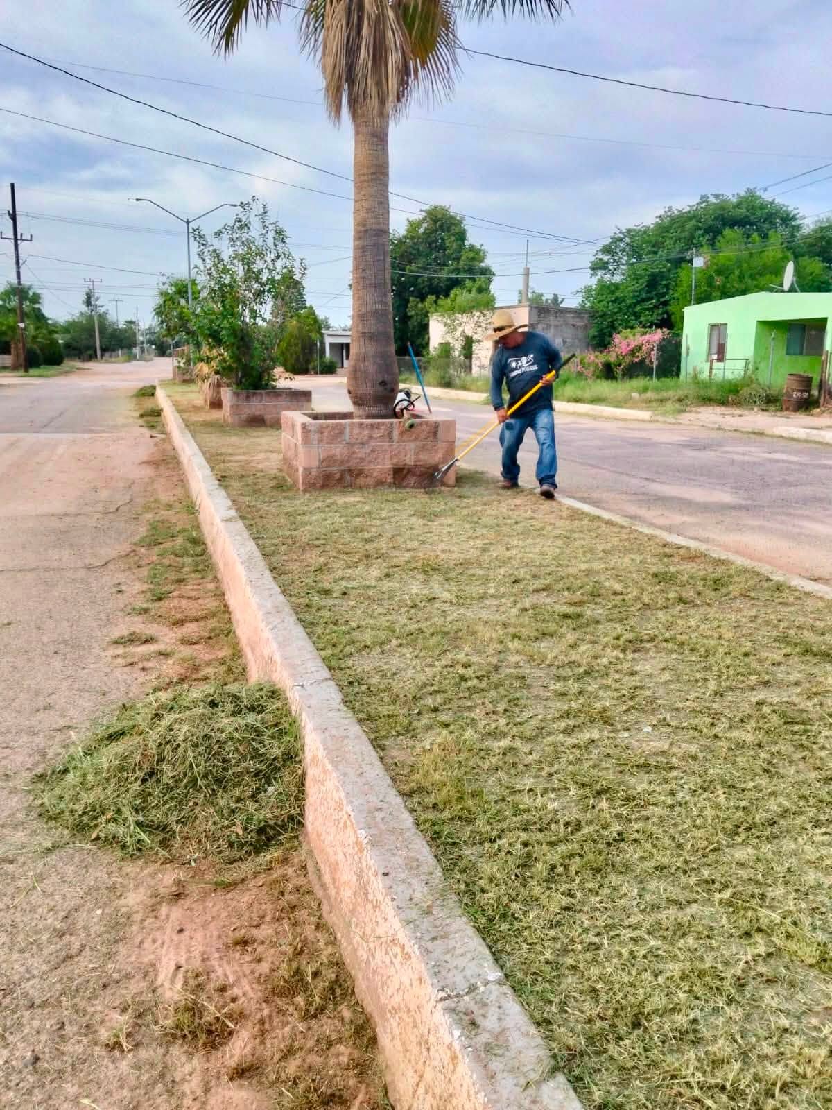 TRABAJOS DE LIMPIEZA Y PODA DE MALEZA